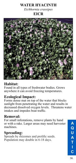 Central Texas Invasive Plants Field Guide - AustinTexas.gov