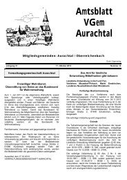 Amtsblatt VGem Aurachtal