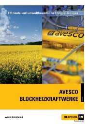Herunterladen (PDF) - Avesco AG
