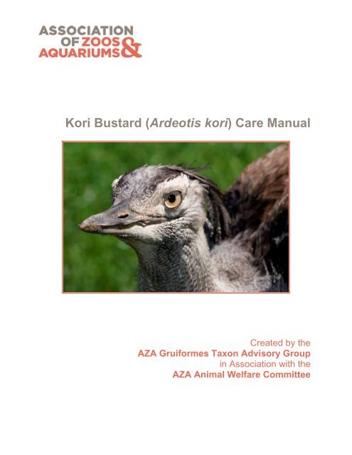 Kori Bustard Ardeotis Kori Care Manual Association Of Zoos And