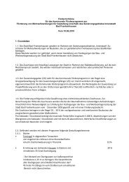 Förderrichtlinie Mehraufwendungen Sanierungsgebiet Innenstadt.pdf