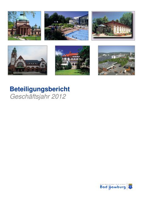 Beteiligungsbericht Geschäftsjahr 2012 - Bad Homburg