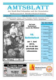 Ausgabe 20. KW 2013 - Bad Schandau