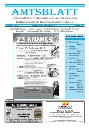 Ausgabe 36. KW 2013 - Bad Schandau