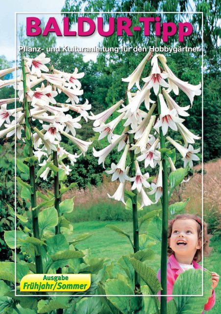 Pflanzanleitung Hauptkatalog Fruhjahr 2013 Baldur Garten