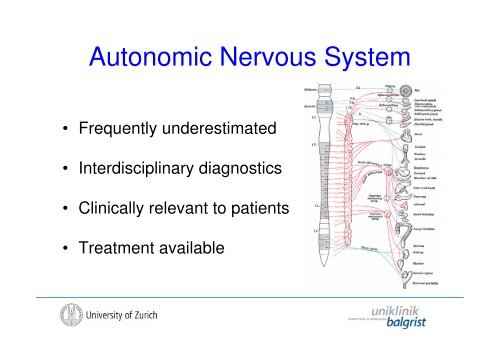 The Autonomic Nervous System in Human SCI - Uniklinik Balgrist