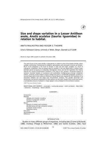 Size and shape variation in a Lesser Antillean ... - Bangor University