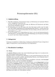 Prismenspektrometer (DL) - Bastgen.de