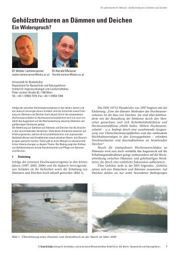 Gehölzstrukturen an Dämmen und Deichen (PDF) - Department für ...