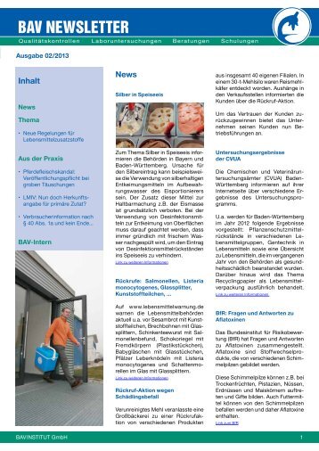 Newsletter 02/2013 - BAV Institut