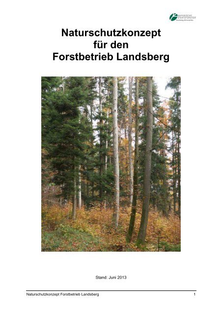 Naturschutzkonzept für den Forstbetrieb Landsberg - Bayerische ...