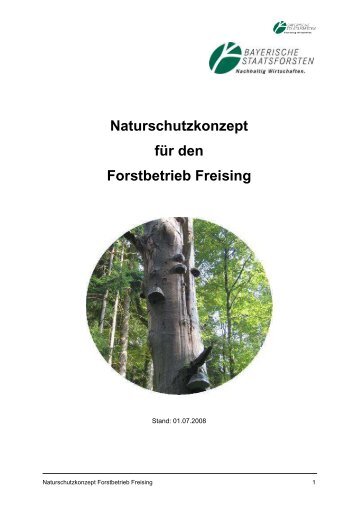 Naturschutzkonzept für den Forstbetrieb Freising - Bayerische ...