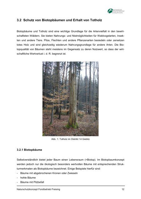 Naturschutzkonzept für den Forstbetrieb Freising - Bayerische ...