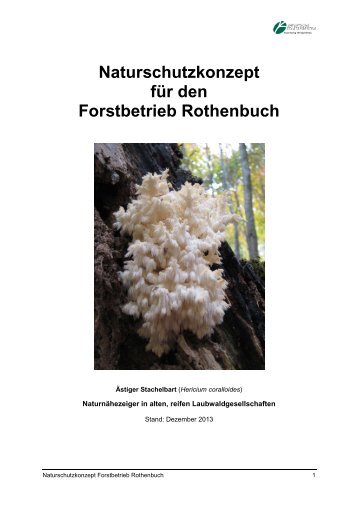 Naturschutzkonzept für den Forstbetrieb Rothenbuch - Bayerische ...