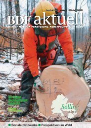 Ausgabe 03/2013 - BDF