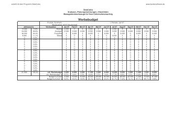 Werbeplan, Werbebudget - Beratersoftware.de