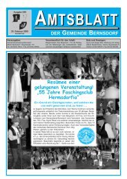 Amtsblatt der Gemeinde Bernsdorf vom 25. Februar 2009