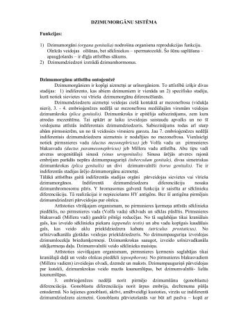 Dzimumorganu sistema.pdf