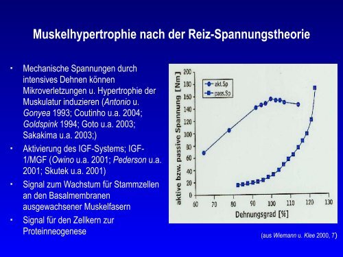 Dehnen im Sport