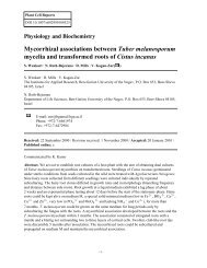 Mycorrhizal associations between Tuber melanosporu...