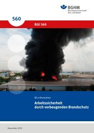 BGI 560 02.pdf, Seiten 20-38 - Berufsgenossenschaft Holz und Metall