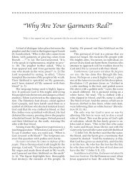 79. Why Are Your Garments Red? - Biblecourses.com