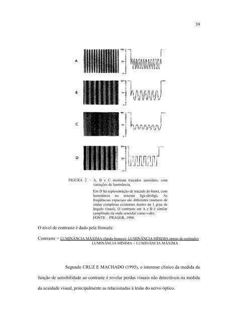 silvana maria pereira vianello - Biblioteca Digital de Teses e ...