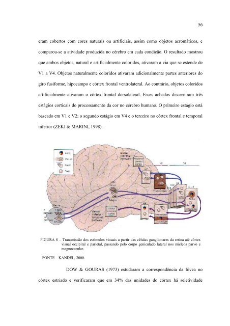 silvana maria pereira vianello - Biblioteca Digital de Teses e ...