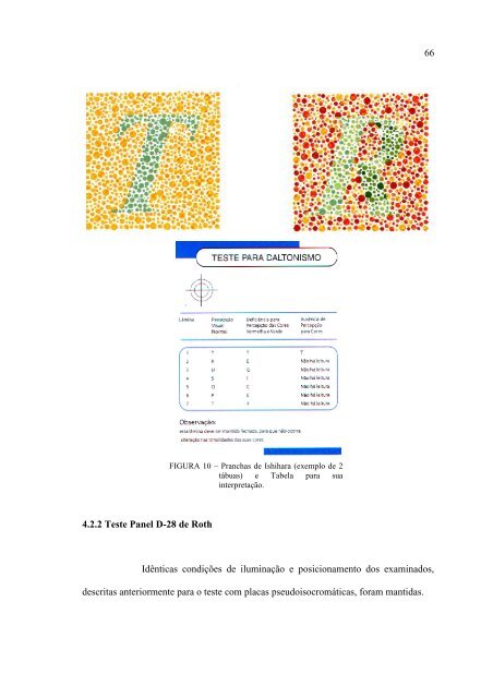 silvana maria pereira vianello - Biblioteca Digital de Teses e ...