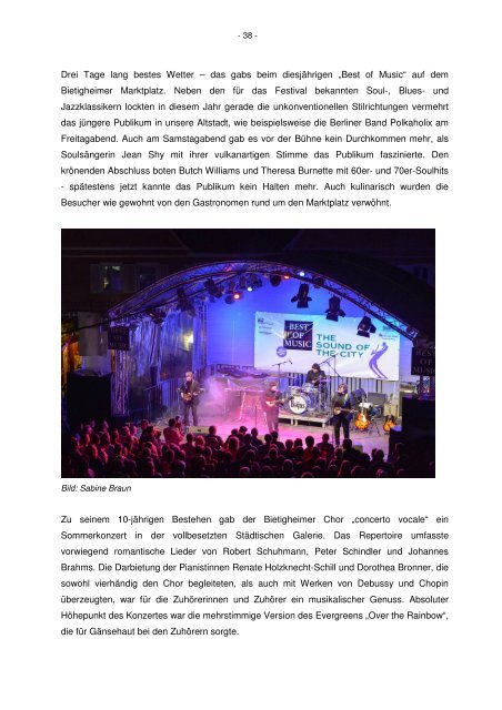 Jahresrückblick 2013 (pdf) - Bietigheim-Bissingen