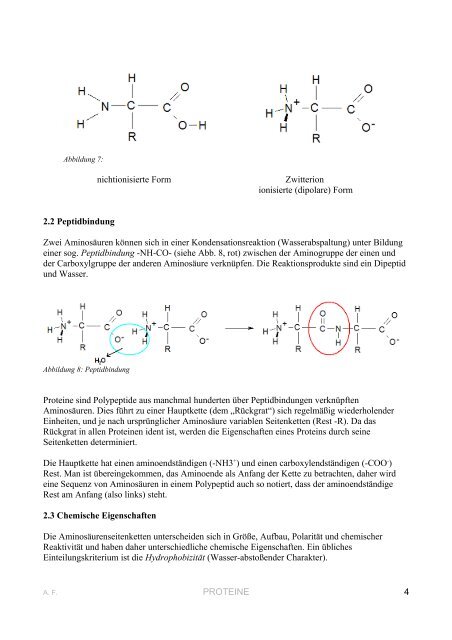 Proteine