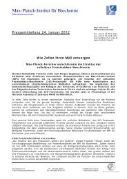 Pressemitteilung (PDF) - Max-Planck-Institut für Biochemie