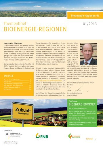 Themenbrief - Bioenergie-Regionen 01/2013