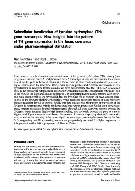 Subcellular localization of tyrosine hydroxylase ... - Biology of the Cell