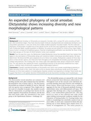An expanded phylogeny of social amoebas ... - BioMed Central