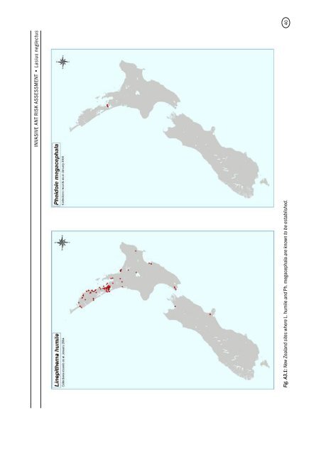 Lasius neglectus (A) PEST INFORMATION - Biosecurity New Zealand