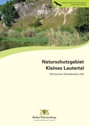 Naturschutzgebiet Kleines Lautertal - Blaustein