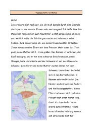 Vogelgeschichte von Markus.pdf - Blikk