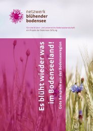 Es blüht wieder was im Bodenseeland! - Bodensee-Stiftung