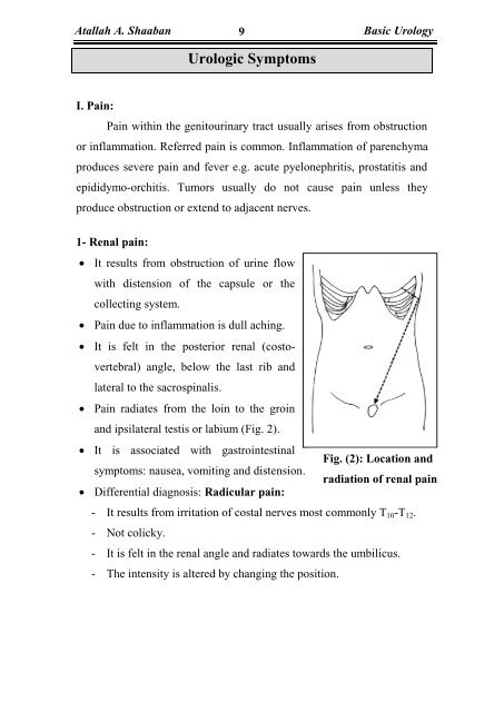 Basic Urology