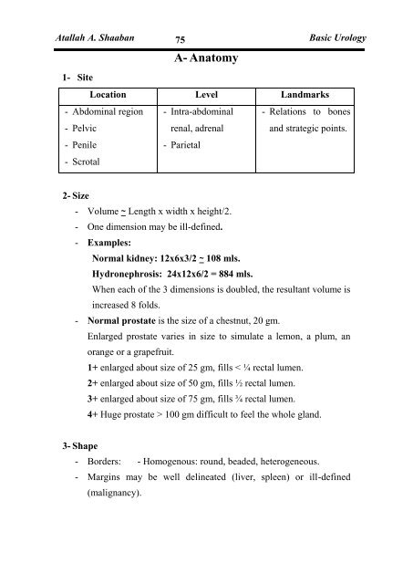 Basic Urology