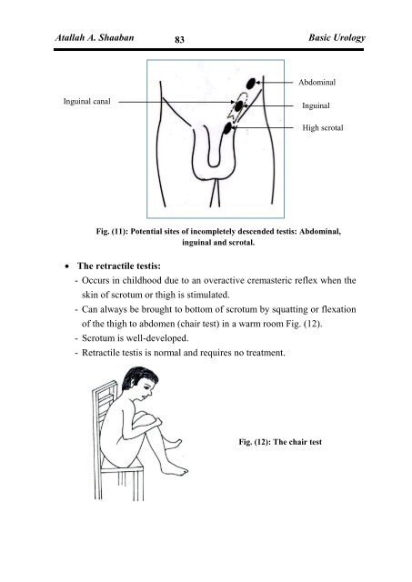 Basic Urology