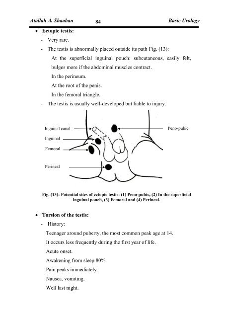 Basic Urology