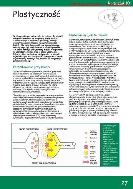 Plastyczność - Brain Campaign