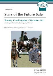 Stars of the Future Sale - Brightwells