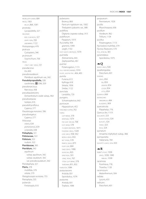 The accepted scientific names of native or naturalized members of ...