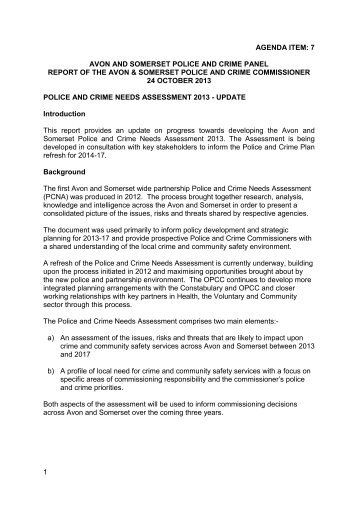 7. draft police and crime needs assessment