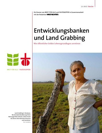 Entwicklungsbanken und Land Grabbing - Brot für alle