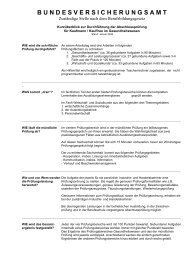 Hinweise Abschlussprüfung (pdf/17-KB) - Bundesversicherungsamt