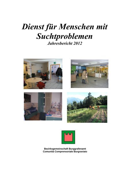 Bericht Suchtbereich - Jahr 2012 - Bezirksgemeinschaft ...